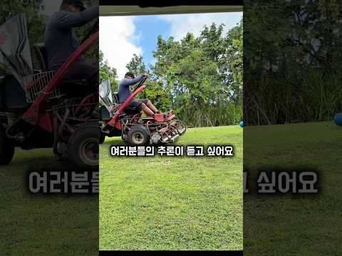 티박스에 잔디를 깍고 <strong>버섯이</strong> 생겼을까? 버섯을 빼고 잔디를 깍았을까? #7대불가사의 #심짱 #괌골프 #타로포포cc