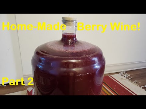 Making Berry Wine: Part 2