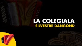 La Colegiala, Silvestre Dangond, Video Letra - Sentir Vallenato
