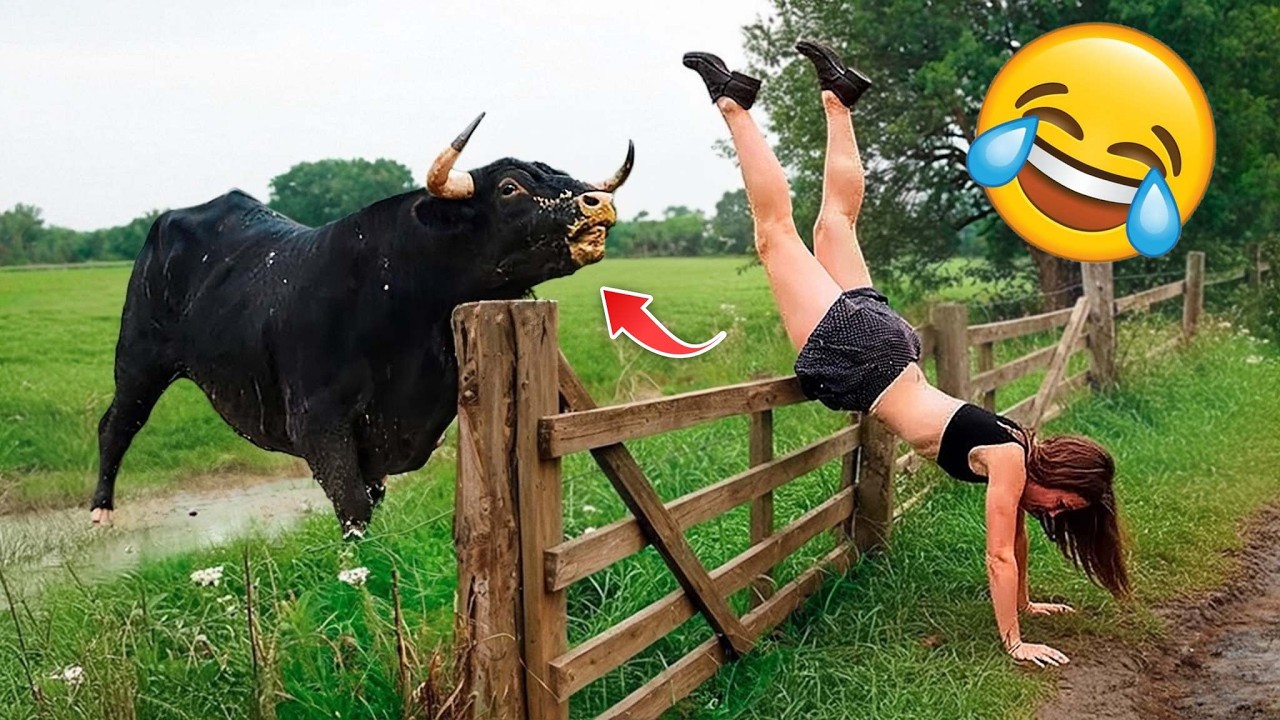 Funny Videos Of 2026🤣😆😂 TRY NOT TO LAUGH Funny Videos #72