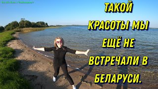 Озеро Полозерье. Красивые места Беларуси.4К