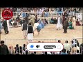 کشتی نمایشی وکیل احمد قصاب در مقابل پهلوانی از قندهار Heart Sports Amazing Afghanistan