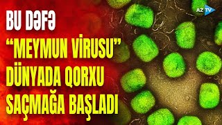 Yoluxucu Virus Bir Çox Ölkədə Sürətlə Yayılır Əlamətləri Nələrdir?