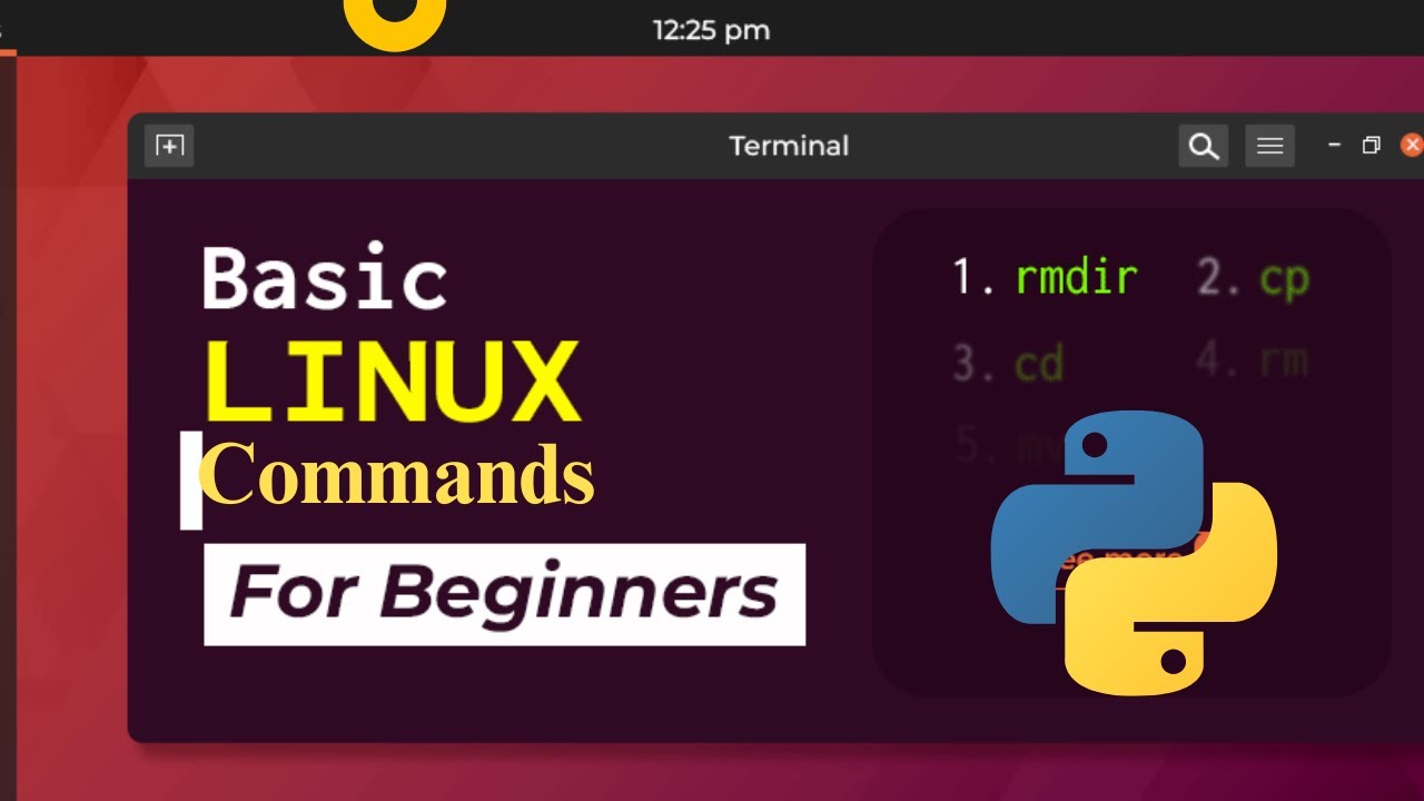 Basic Linux Commands for Beginners - YouTube