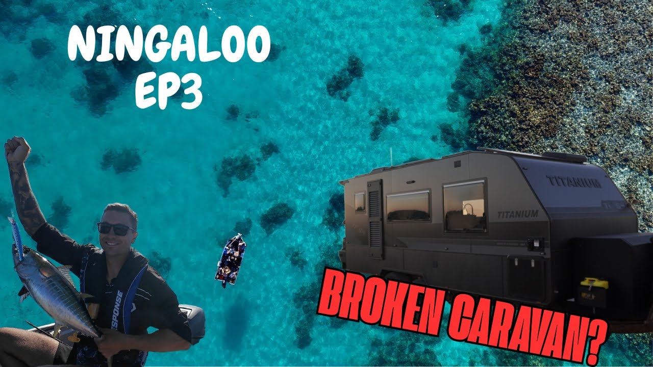 ЭПИЧЕСКИЙ КЕМПИНГ НИНГАЛУ I Приключения на станции Буллара + Драма в караване