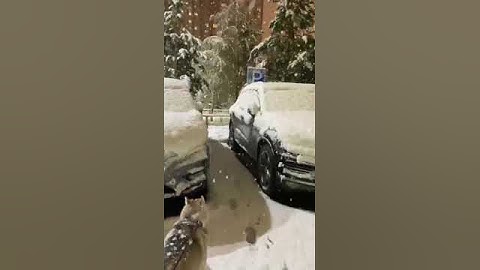 Наш шок в шоке от такого в мае.