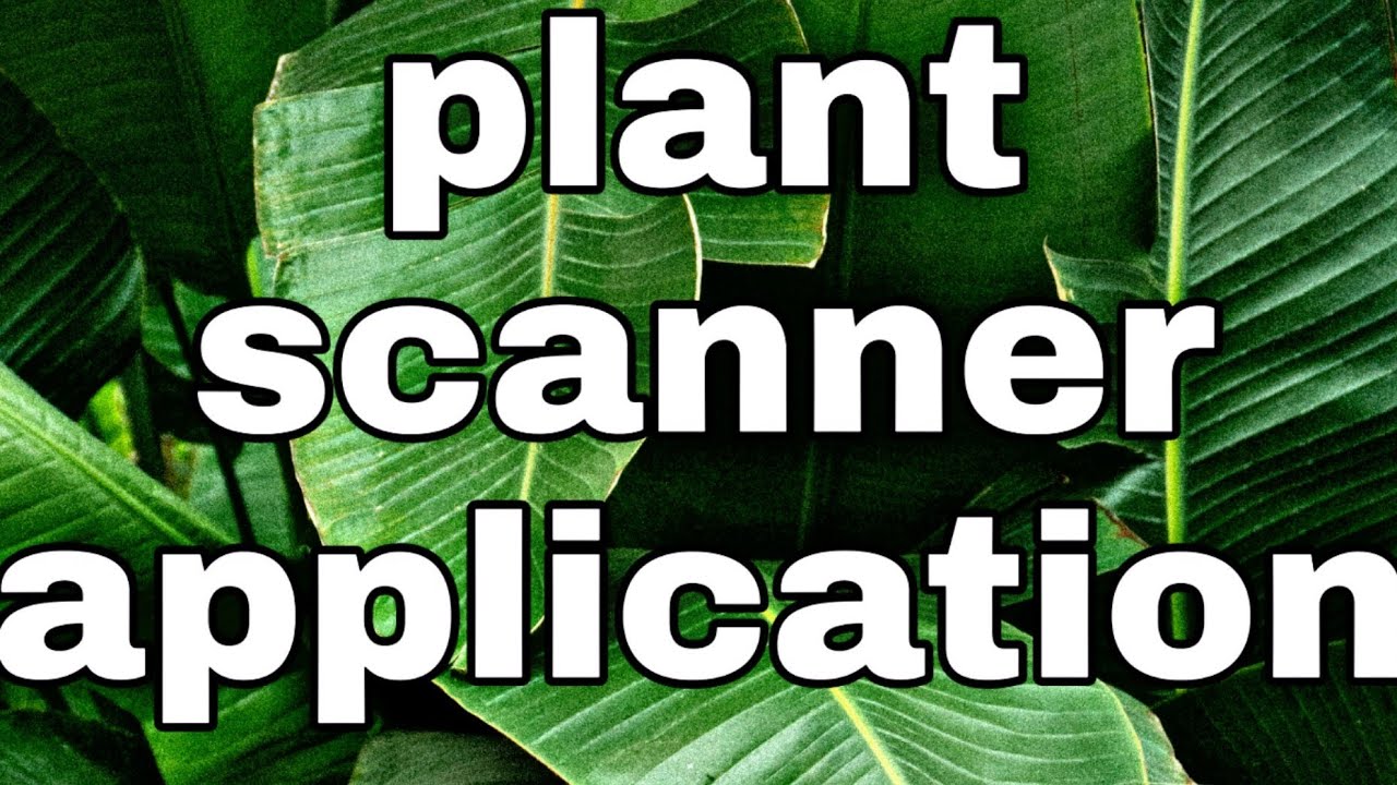 Plant scanner app YouTube