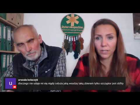 Dyżur ekspertów #zielonepogotowie