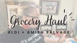 $180 Aldi + Amish Salvage Grocery Haul