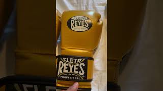 Cleto Reyes boxing gloves