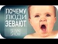 Почему люди зевают? [SLIVKI SHOW]