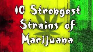 10 Strongest Strains Of Weed