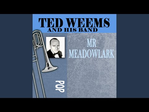 Mr. Meadowlark