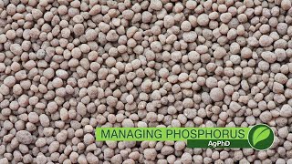 Phosphorus Management #1073 (Air Date 10-28-18)