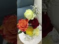 القرآن الكريم قر قصص قصص عربية قرآن غابات قران كريم القرآن الكريم قر قصص قصص عربية قرآن غابات قران كريم
