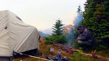 We AskFor Truth Here And We RECEIVE! Numerous Sasquatch Sightings Reported Today And More.