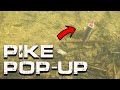 BEST WAY TO POP-UP A DEADBAIT | Pike Fishing | Daniel Woolcott