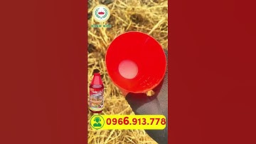 Diệt tận gốc các loại cỏ cứng đầu - 5-7 ngày cỏ thôi tận gốc