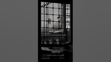 الذين ينفقون في السراء والضراء والكاظمين الغيظ || سورة آل عمران القارئ محمد صديق المنشاوي