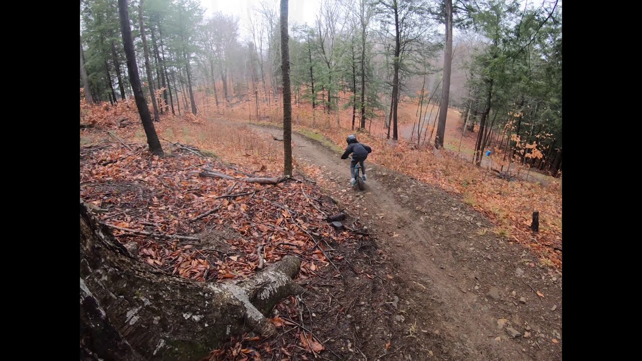 Mini Rig VS Downhill Park. ❌ Review ❌