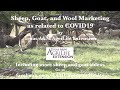 Sheep, Goat, and Wool Marketing as related to COVID19 by Texas A&amp;M AgriLife Extension