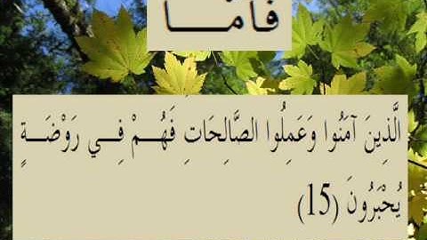 القران الكريم سورة الروم الأية 15.wmv
