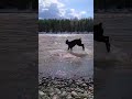 гоняем КАМНИ 🪨🐎