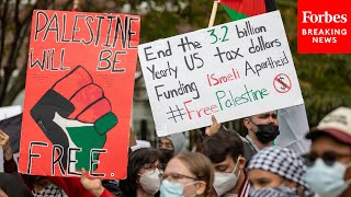 Constitutional Scholar Reveals When Government Started Investigating Antisemitism On Campuses