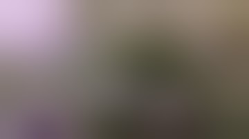 Grow tent scrog net series #6 for grower scrog nets