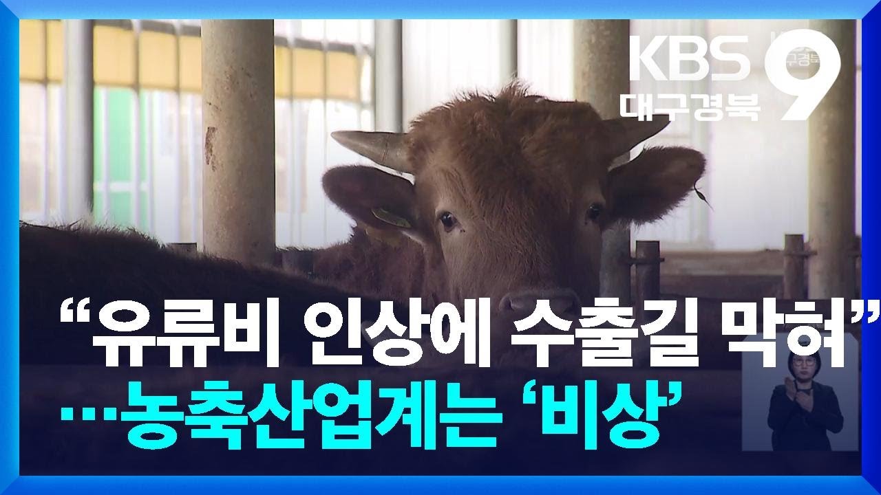 “유류비 인상에 수출길 막혀”…농축산업계는 ‘비상’ / KBS  2026.03.06.