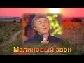Малиновый звон Николай Гнатюк с текстом