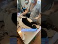 Tiny Infant Howler is Removed From Dead Mother's Arms...