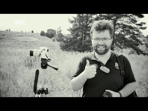 18-55mm VS 50mm f/1.8. Китовый объектив ПРОТИВ полтинника