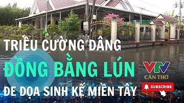 Sụt lún, hiểm họa âm thầm đe doạ sinh kế miền Tây | VTV CẦN THƠ