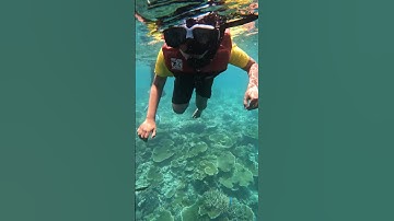 Thumbnail of First time snorkeling by 7yr old #maafushi #maldives #kid #snorkeling #hridhaan #maldivesisland
