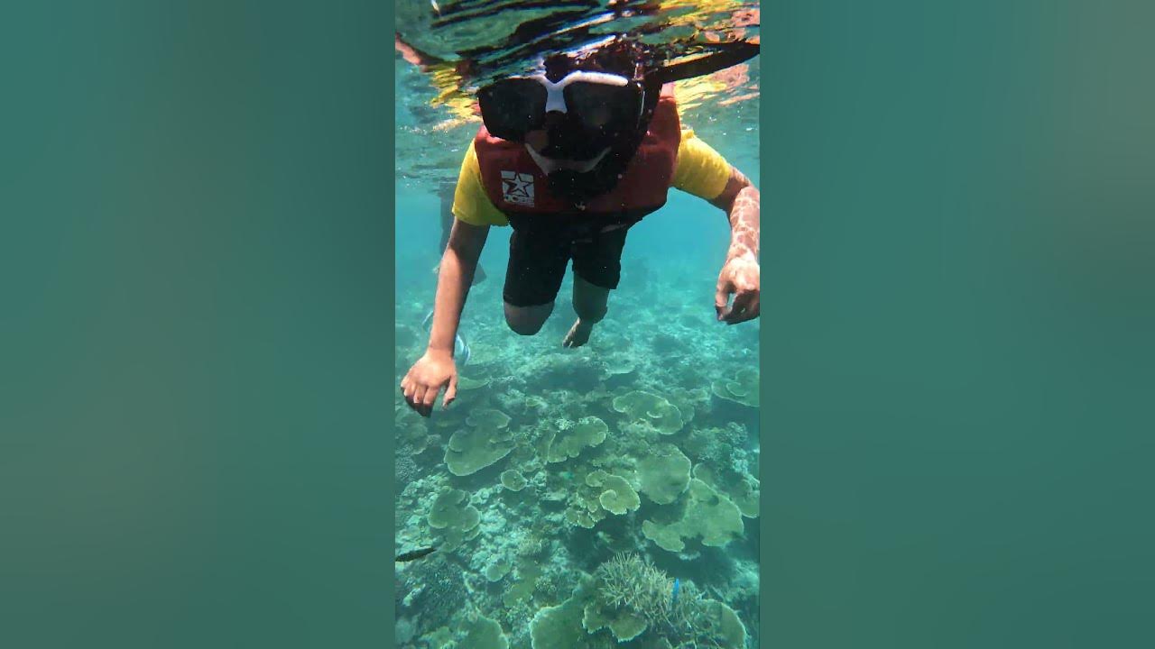 First time snorkeling by 7yr old #maafushi #maldives #kid #snorkeling #hridhaan #maldivesisland