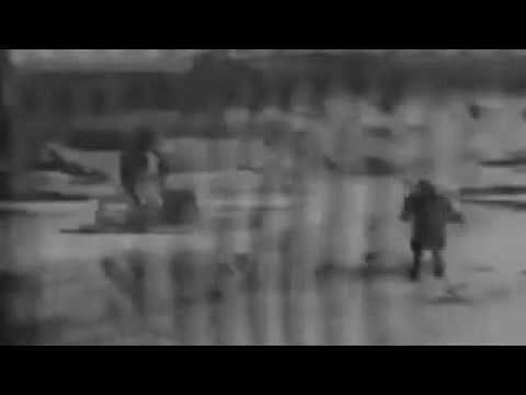 YAKUZA - Untitled Project