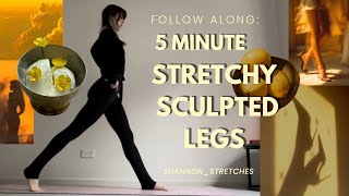 5 MINUTE STRETCHY SCULPTED LEGS / stretch & sculpt leg workout / no props 