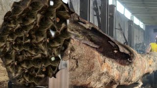 Incredible wood sawmill skills - the trouble process of sawing teak wood