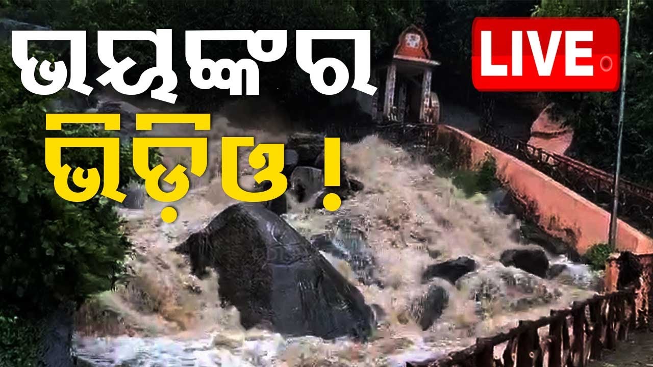 Live | ବାତ୍ୟା ପରର ଭୟଙ୍କର ଭିଡ଼ିଓ | After Cyclone Dana  | Odisha Cyclone