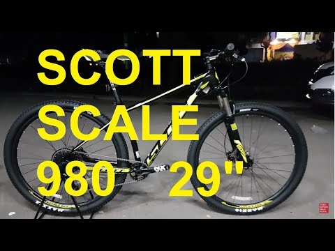 scott scale 979