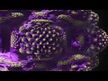 Fractals Remixed vol.1.mp4(2012)HD!!!