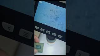 Examining an INTEL CPU under a MICROSCOPE! Profile