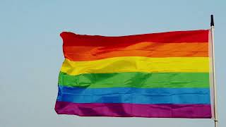 Gay Pride Flag for LGBTQ+ Pride Month - Free Stock Video screenshot 3