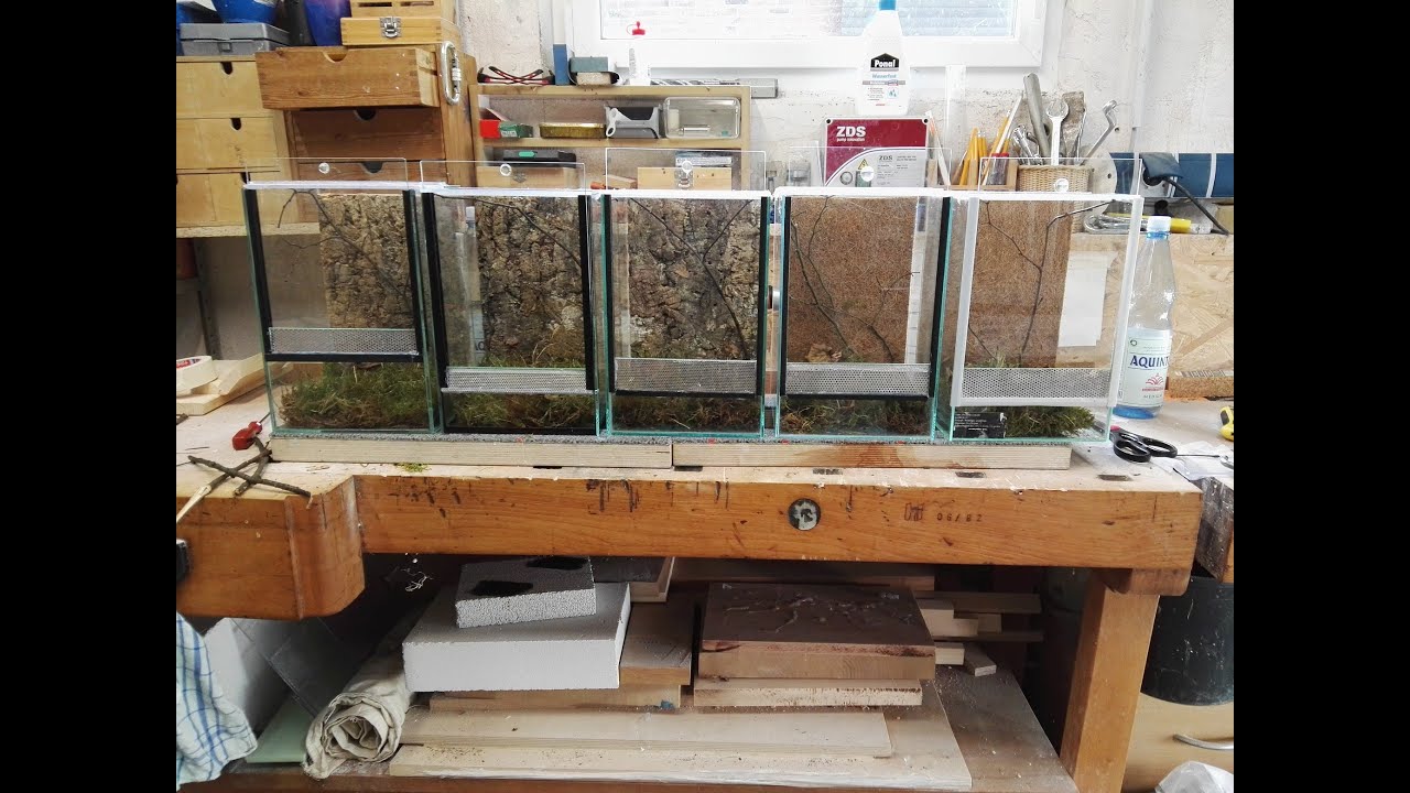 Terrarium umbauen für Mantiden