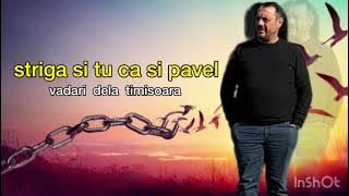 Vadari de la Timisoara - Striga si tu ca si pavel