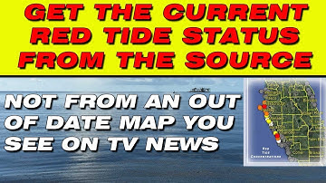How To Find The CURRENT Red Tide Data AND Real Time Beach Conditions For The Entire Gulf Coast Of FL