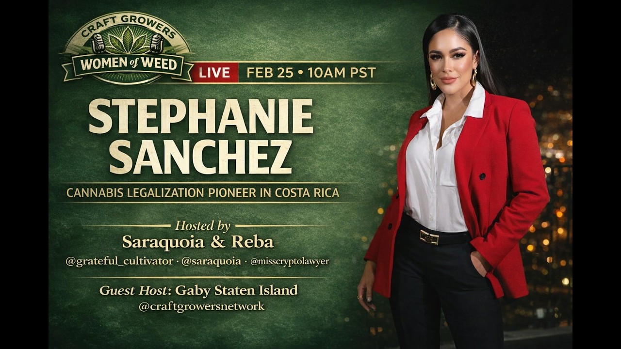 Wow with Stephanie Sanchez