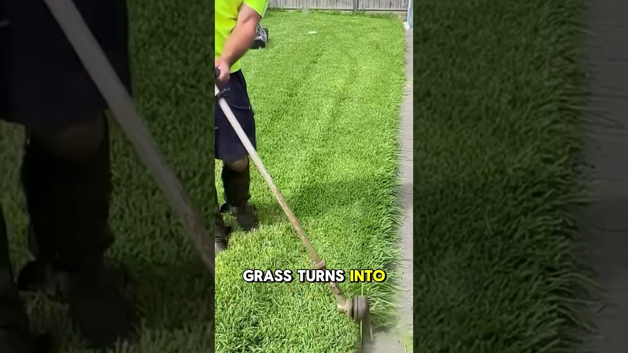 Why Is Mowing Grass SO Addicting? Science Explains! 🤯 