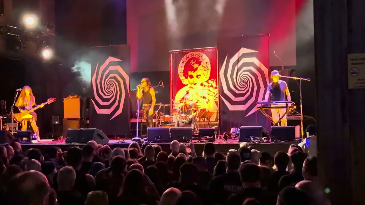 My Life with the Thrill Kill Kult